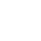 vission-icon