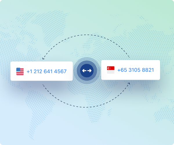 Singapore TrueLocal Numbers